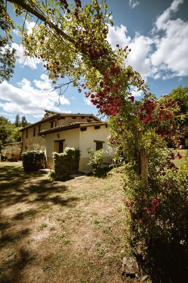 Agriturismo Le Radici Umbertide Exterior foto